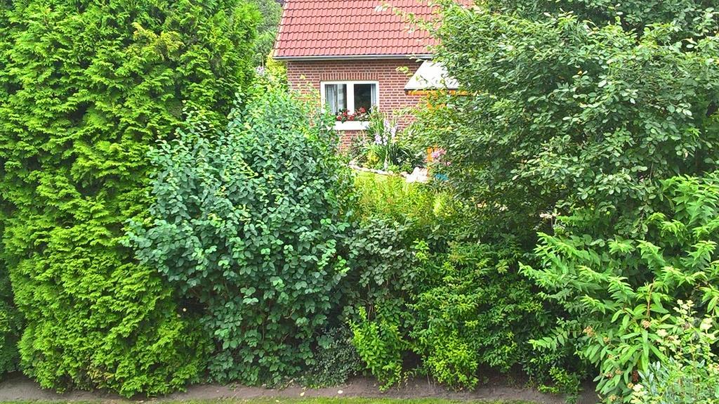 Ferienwohnung Fuchskuhle Бокхорн Экстерьер фото